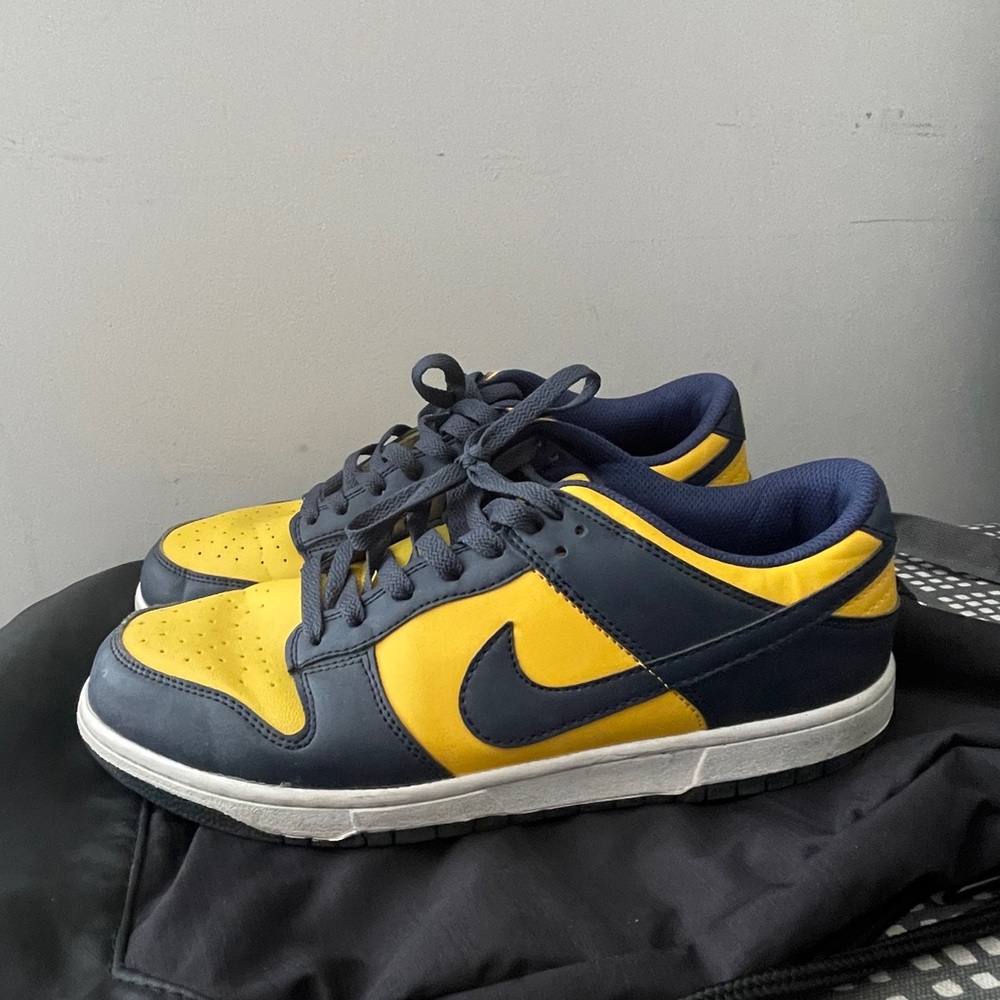 Nike Dunks SB low Michigan